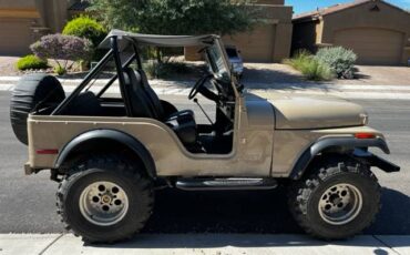 Jeep-Cj5-1978-160934