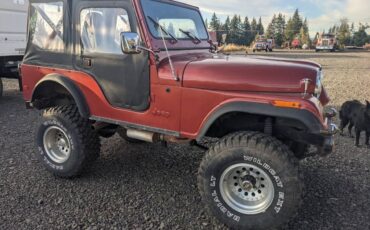 Jeep-Cj5-1978-2-12