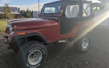 Jeep-Cj5-1978-2-4