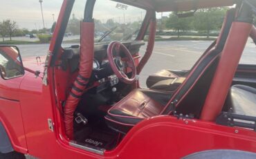 Jeep-Cj5-1978-red-16092-6