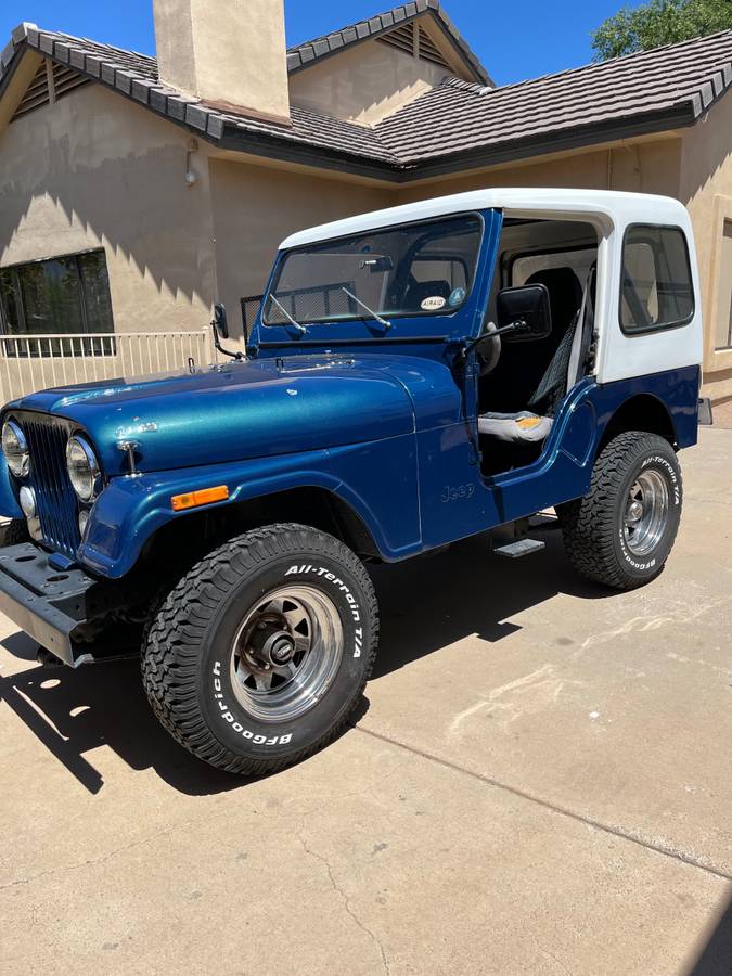 Jeep-Cj5-1982-blue-208538-10