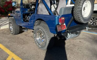 Jeep-Cj5-1982-blue-208538-3