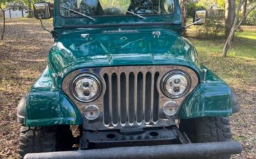 Jeep-Cj7-1985-green-273588-19