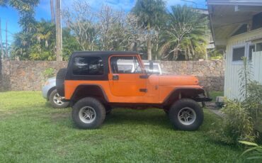 Jeep-Cj7-1993-112654-1