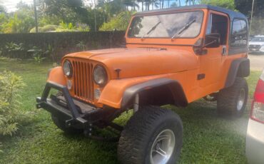 Jeep-Cj7-1993-112654-3