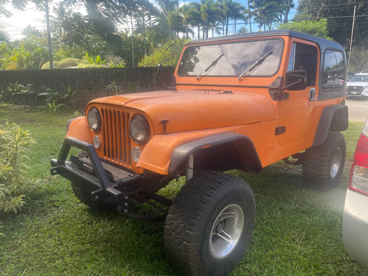 Jeep-Cj7-1993-112654-3