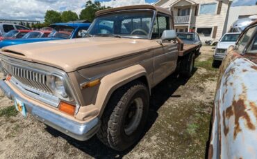 Jeep-J-20-Pickup-1977-2