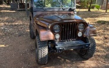 Jeep-M38a1-1957-brown-80100-1