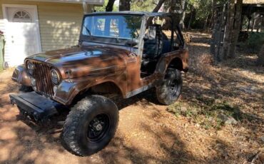 Jeep-M38a1-1957-brown-80100-2