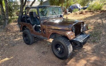 Jeep-M38a1-1957-brown-80100