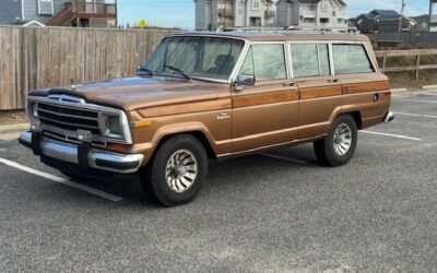 Jeep Other Break 1986 à vendre