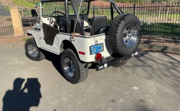 Jeep-Renegade-1974-5