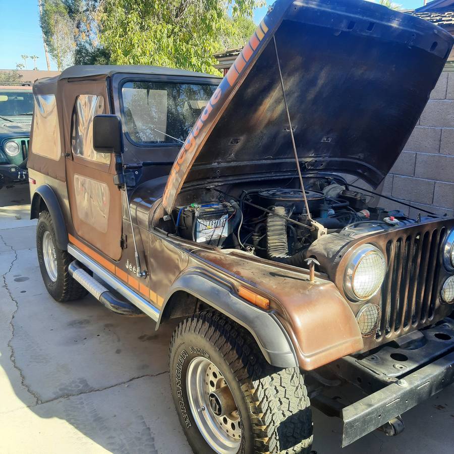 Jeep-Renegade-1979-brown-120701-2