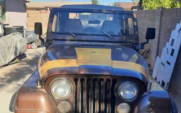 Jeep-Renegade-1979-brown-120701