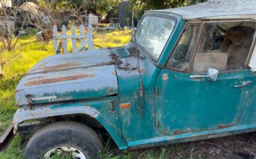 Jeep-Ster-commando-1969-green-160932-1