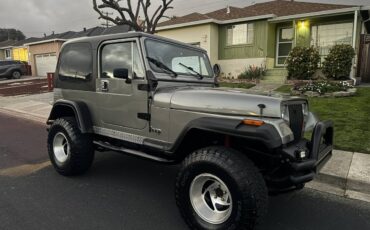 Jeep-Wrangler-1987-silver-186683