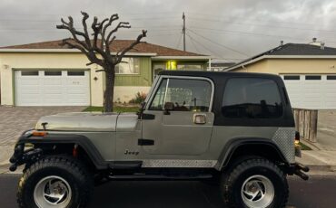 Jeep-Wrangler-1987-silver-186683-3