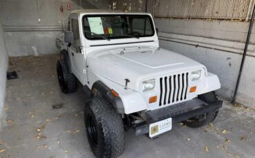 Jeep-Wrangler-1988-White-Gray-428137-3