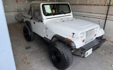 Jeep-Wrangler-1988-White-Gray-428137-4