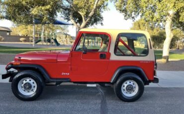 Jeep-Wrangler-1991-96560-1