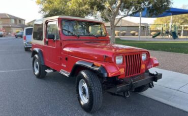 Jeep-Wrangler-1991-96560-3