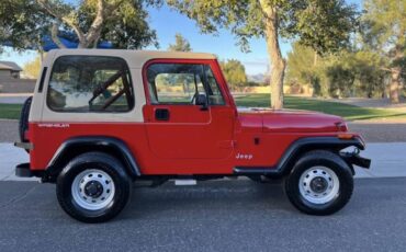 Jeep-Wrangler-1991-96560-4