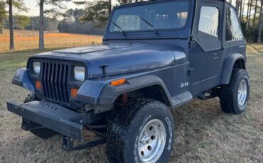 Jeep-Wrangler-1991-blue-314304-1