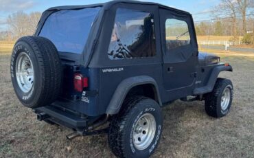 Jeep-Wrangler-1991-blue-314304-2