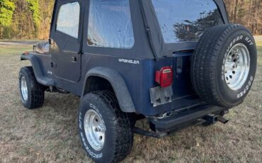 Jeep-Wrangler-1991-blue-314304-3