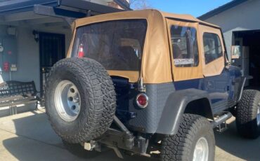 Jeep-Wrangler-1993-blue-315361-1