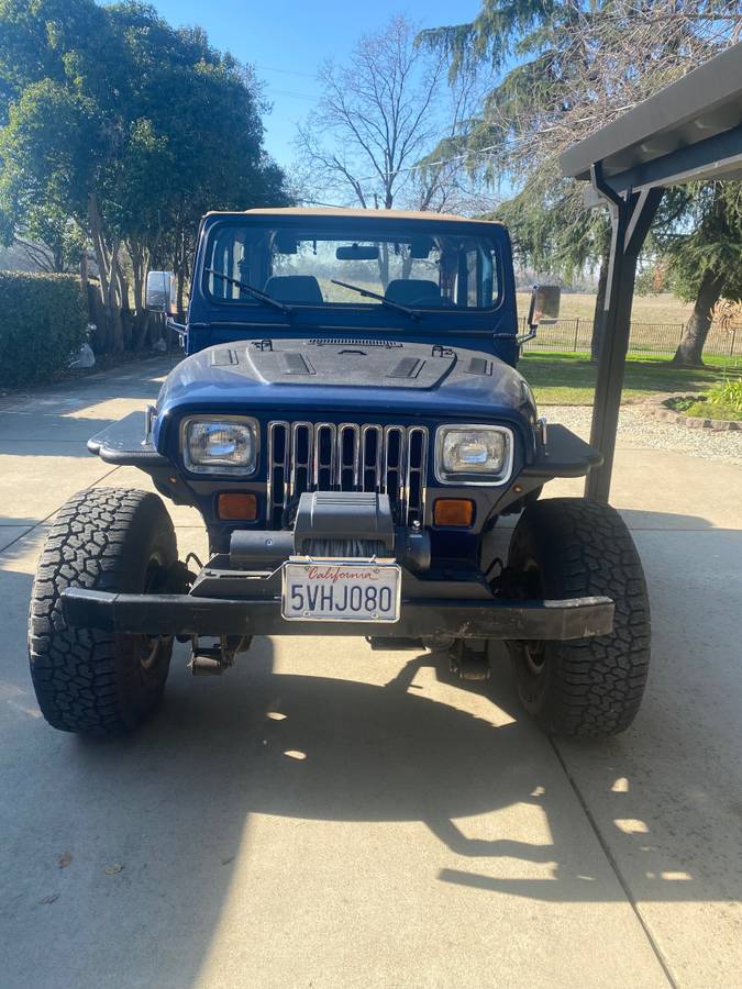 Jeep-Wrangler-1993-blue-315361