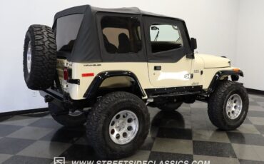 Jeep-Wrangler-1994-Beige-Black-241604-11