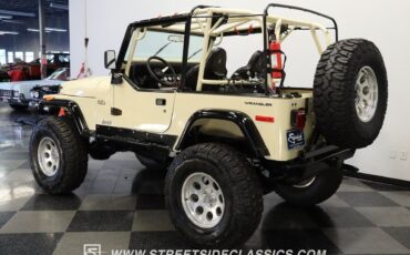 Jeep-Wrangler-1994-Beige-Black-241604-6