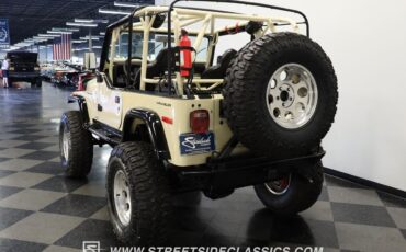 Jeep-Wrangler-1994-Beige-Black-241604-7