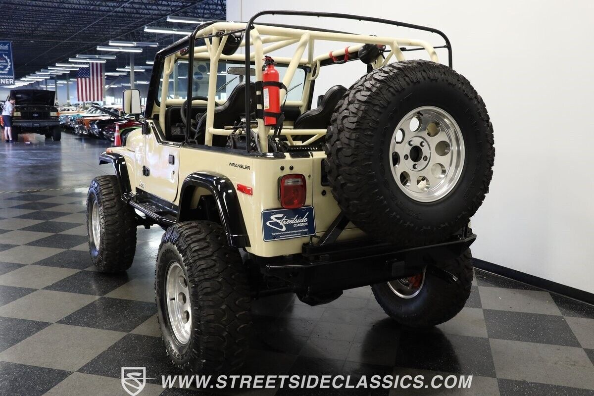 Jeep-Wrangler-1994-Beige-Black-241604-7