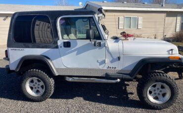 Jeep-Wrangler-1994-white-312212-2