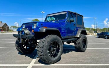 Jeep-Wrangler-1995-Blue-Tan-156106-1