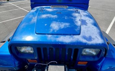 Jeep-Wrangler-1995-Blue-Tan-156106-13