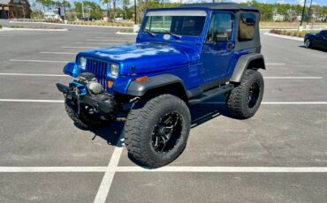 Jeep-Wrangler-1995-Blue-Tan-156106-2