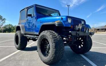 Jeep-Wrangler-1995-Blue-Tan-156106-5