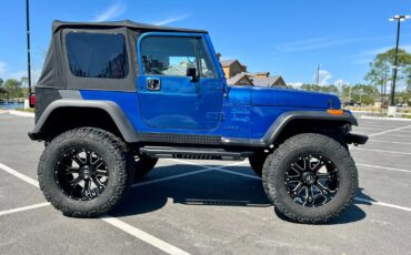 Jeep-Wrangler-1995-Blue-Tan-156106-6