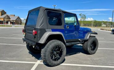 Jeep-Wrangler-1995-Blue-Tan-156106-7