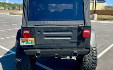 Jeep-Wrangler-1995-Blue-Tan-156106-8