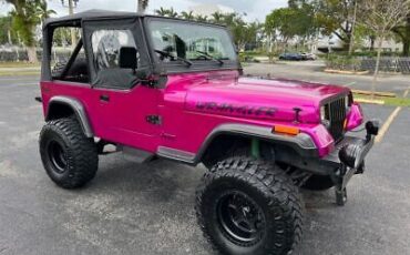 Jeep-Wrangler-Cabriolet-1991-Yellow-Black-218795-1