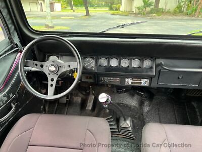 Jeep-Wrangler-Cabriolet-1991-Yellow-Black-218795-10