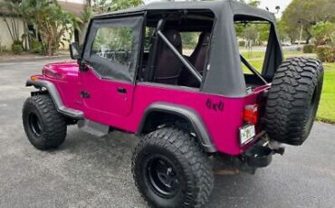 Jeep-Wrangler-Cabriolet-1991-Yellow-Black-218795-2