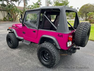 Jeep-Wrangler-Cabriolet-1991-Yellow-Black-218795-2