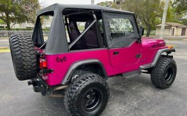 Jeep-Wrangler-Cabriolet-1991-Yellow-Black-218795-3