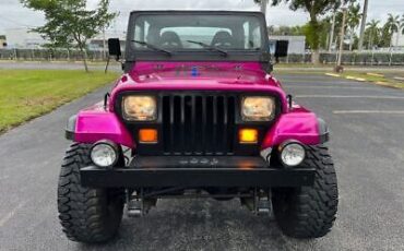 Jeep-Wrangler-Cabriolet-1991-Yellow-Black-218795-4