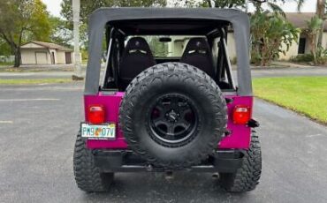 Jeep-Wrangler-Cabriolet-1991-Yellow-Black-218795-5